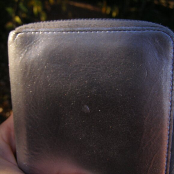 RARE Authentic CHANEL Silver Leather Wallet EUC with Card - Picture 14 of 15